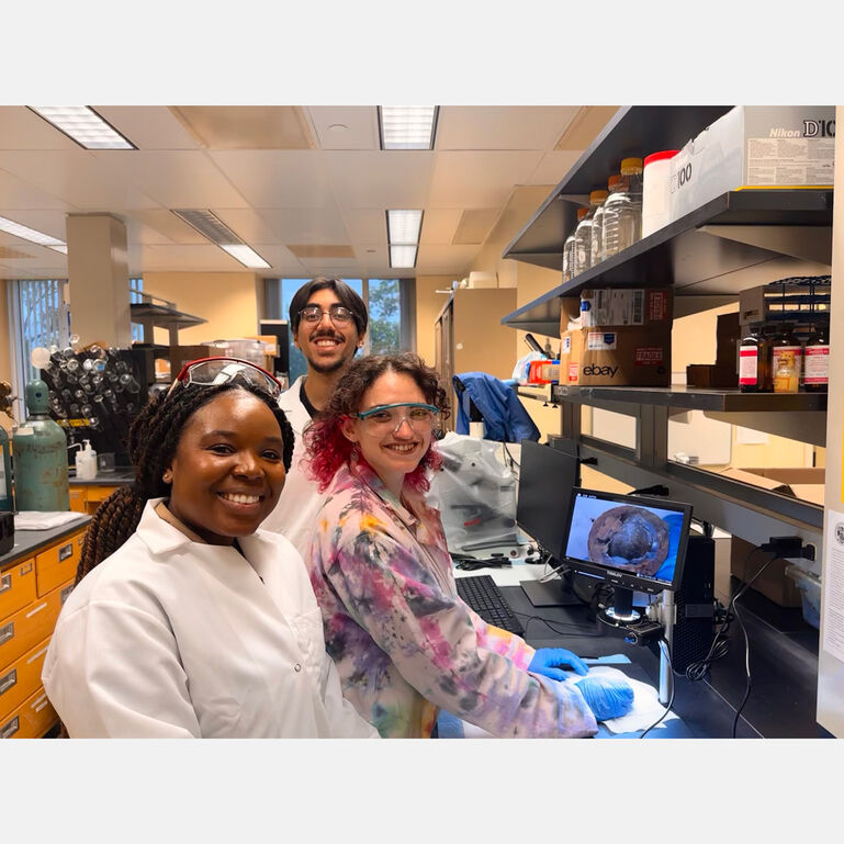 Environmental Sciences Gift Fund