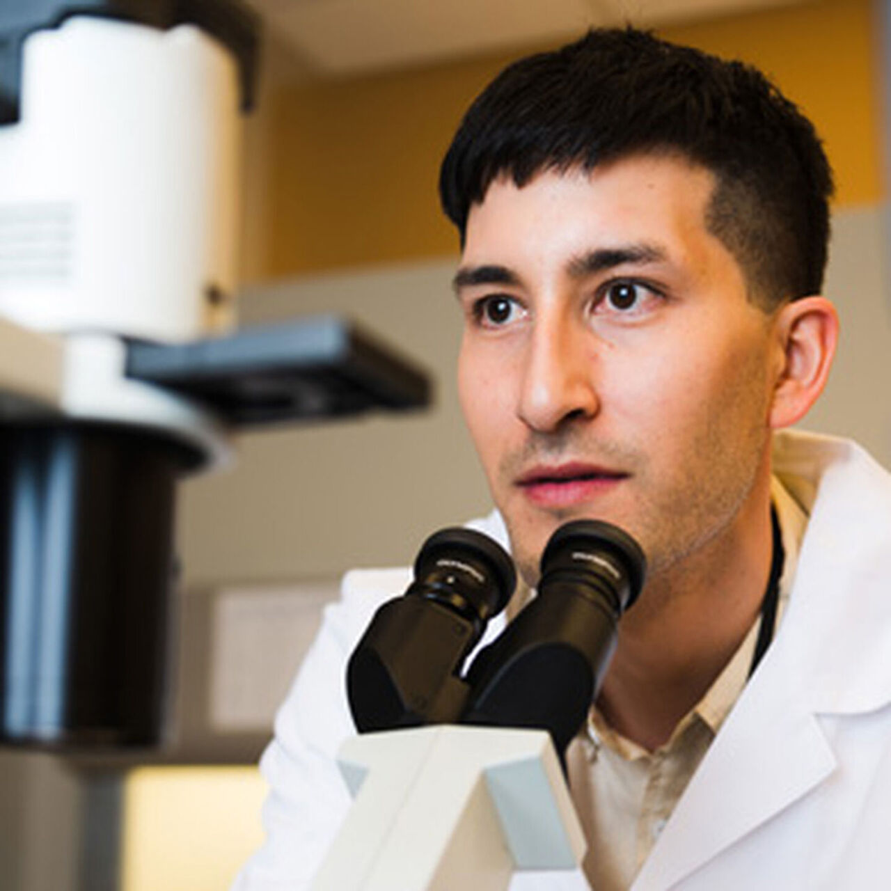 Rutgers Global Health Institute Program Fund  image number 0