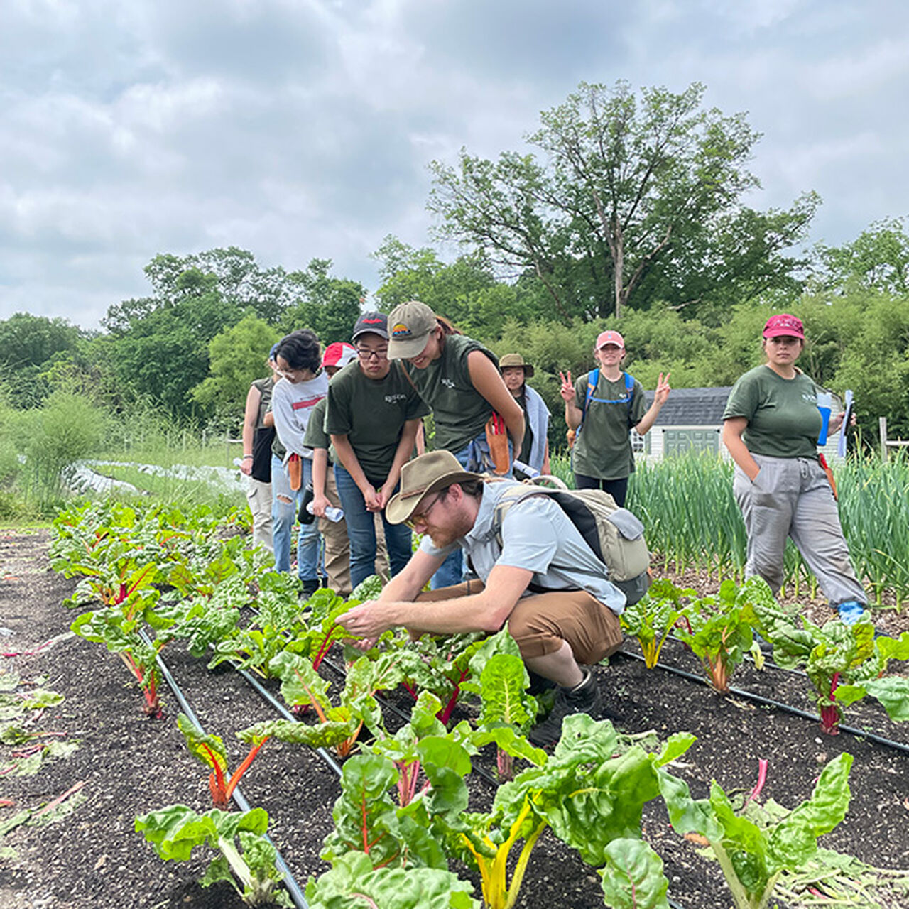Cooperative Extension Enhancement Fund  image number 0