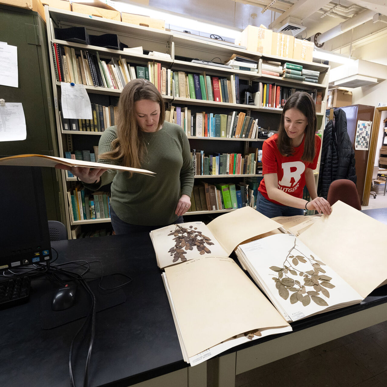 Chrysler Herbarium  image number 0