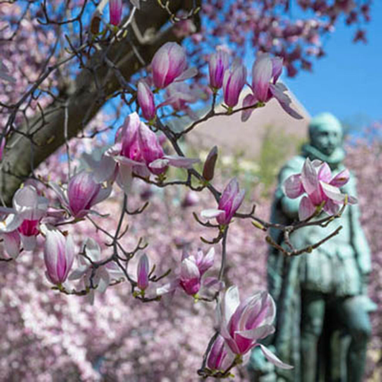 Center for Cultural Analysis Gift Fund  image number 0