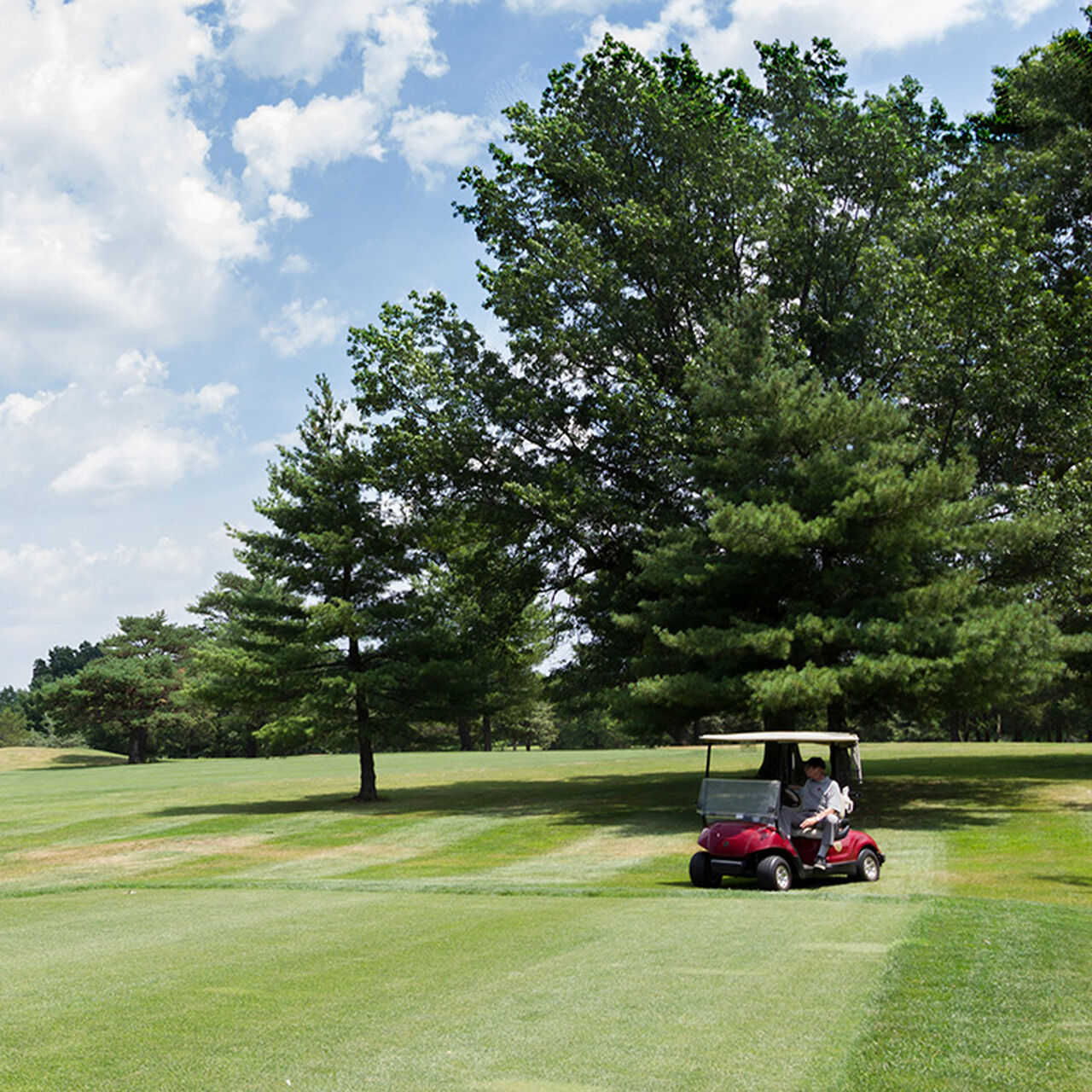 Rutgers Professional Golf Turf Management Program Support Fund  image number 0