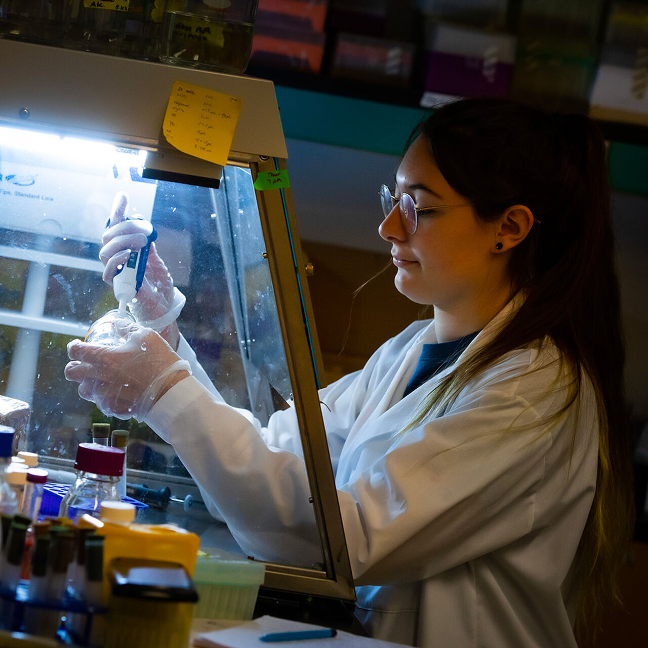 Student working in chemical and biochemical engineering laboratory image number 0