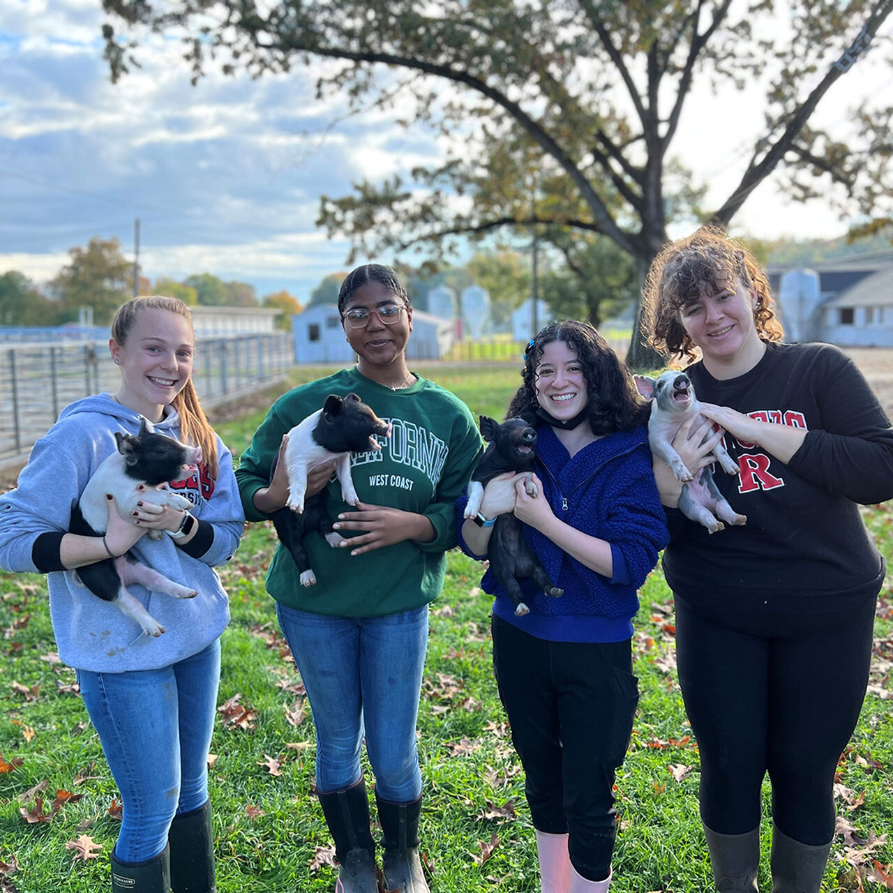 Animal Care Fund  image number 0