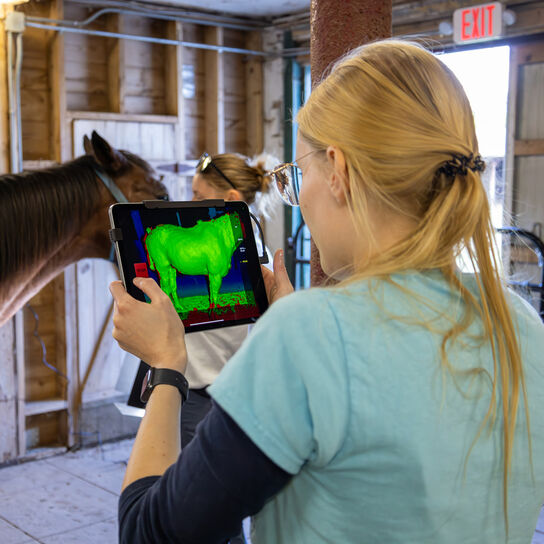 Equine Science Center Endowment  image number 2