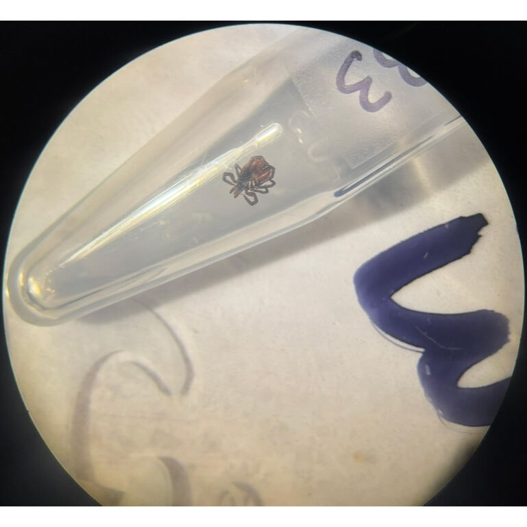 NJ Ticks 4 Science 4 Dogs! Support Fund 