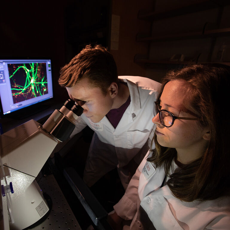 Two researchers in a laboratory working with a microscope