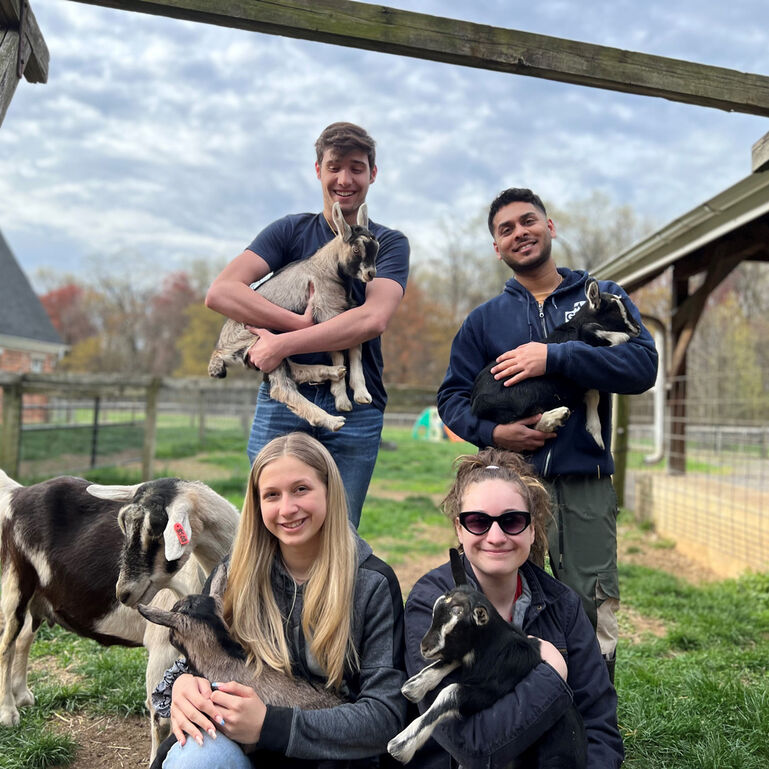 Department of Animal Sciences Academic Excellence Fund 