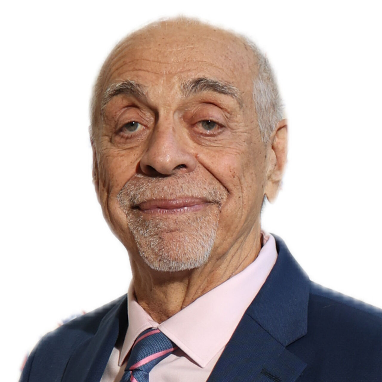 The Honorable Joel Barnet Rosen Endowed Scholarship Fund  image number 0