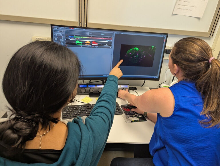 CBN Development Fund 