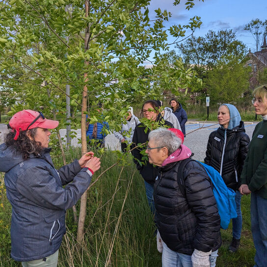 Environmental Stewards Enrichment Fund  image number 3