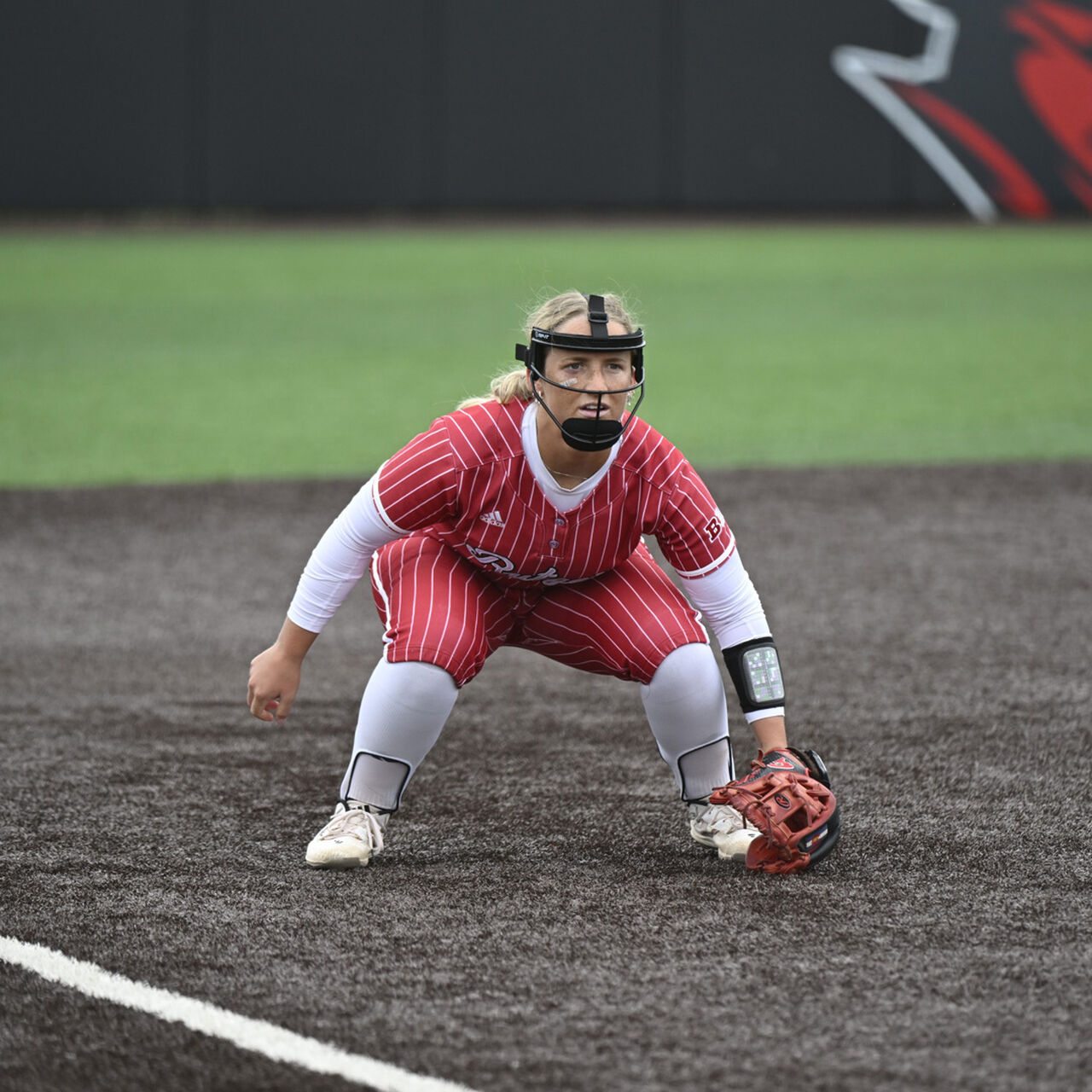 Softball Alston Award Fund  image number 0