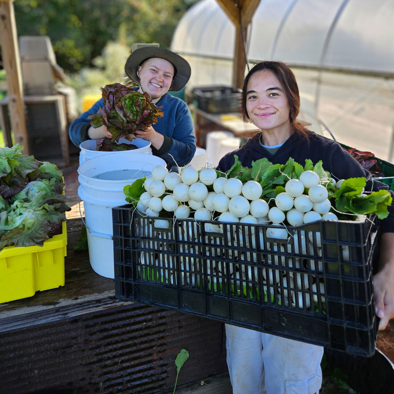 Community Food Security Support Fund for Rutgers-New Brunswick image number 0
