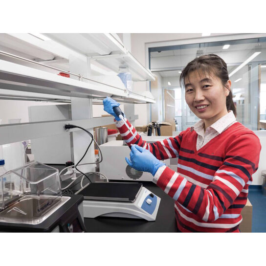 Rutgers-Camden Center for Computational and Integrative Biology (CCIB) Support Fund  image number 2