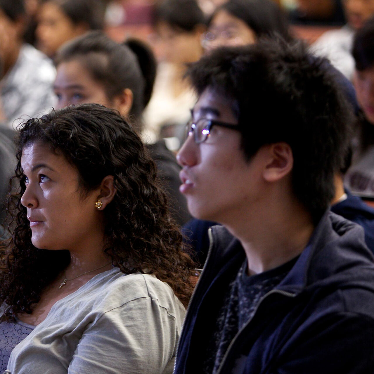 Department of Economics Development Fund  image number 0