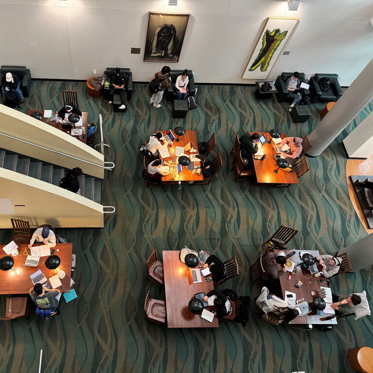 University Librarian's Academic Excellence Fund 