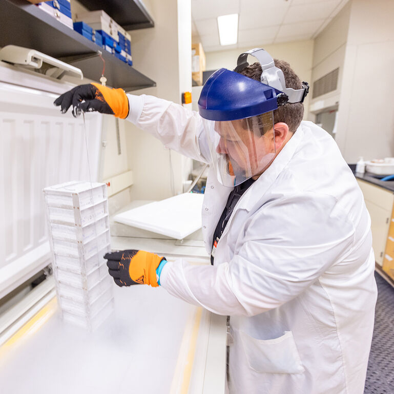 Researcher working in laboratory