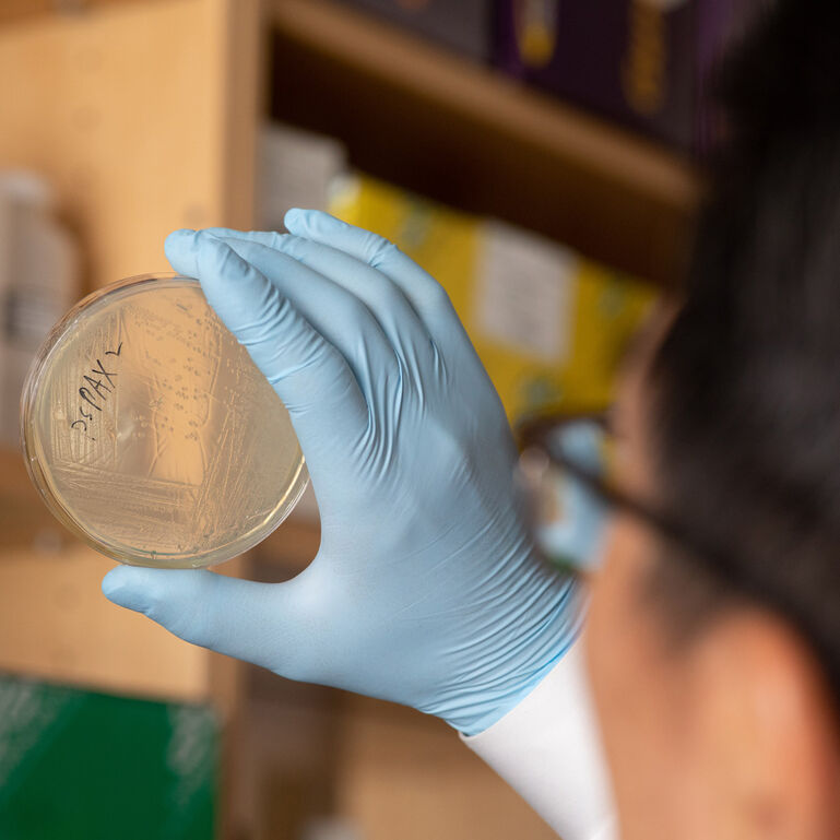 Rutgers School of Graduate Studies - Biomedical and Health Sciences Scholarship Fund 