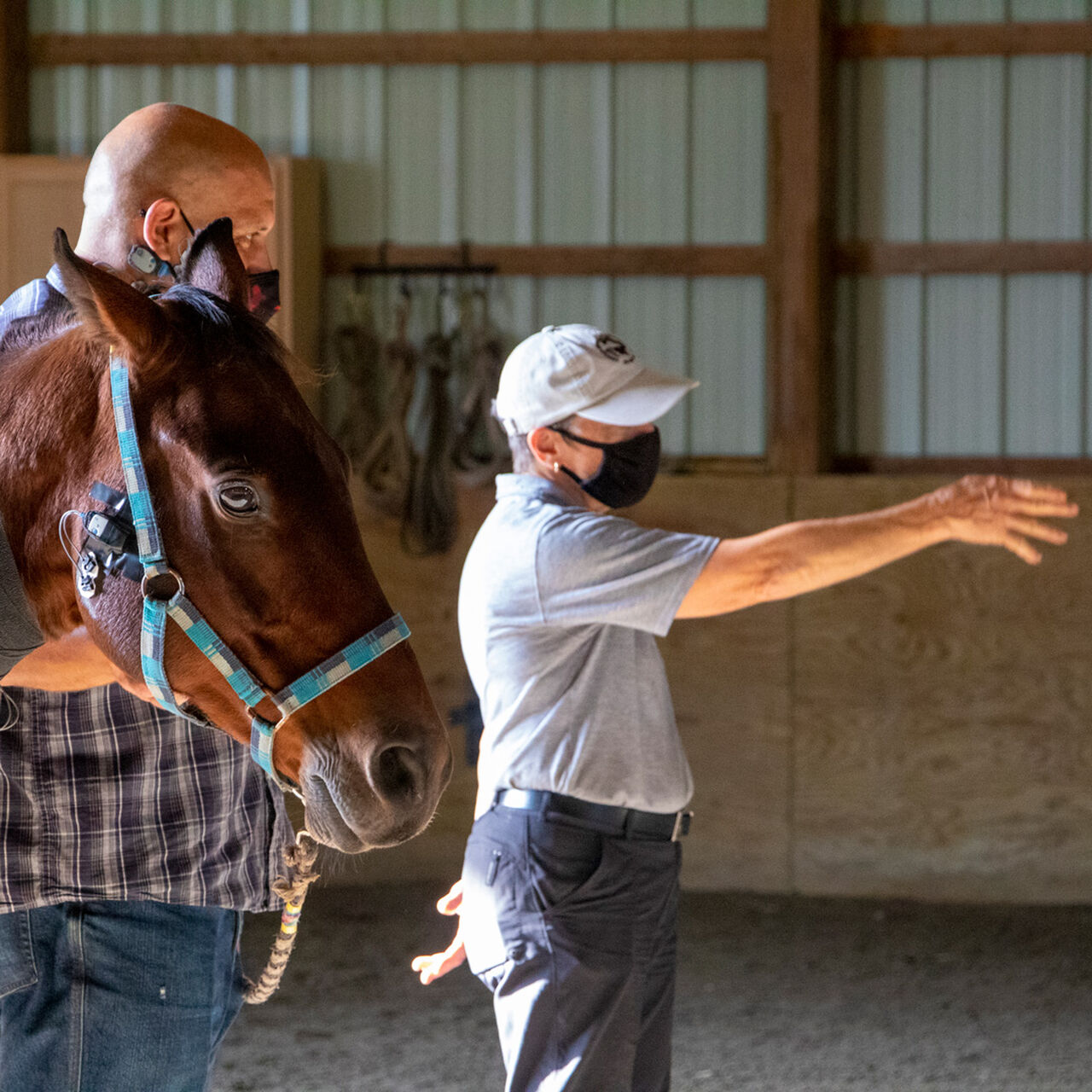 Equine Science Center Endowment  image number 1