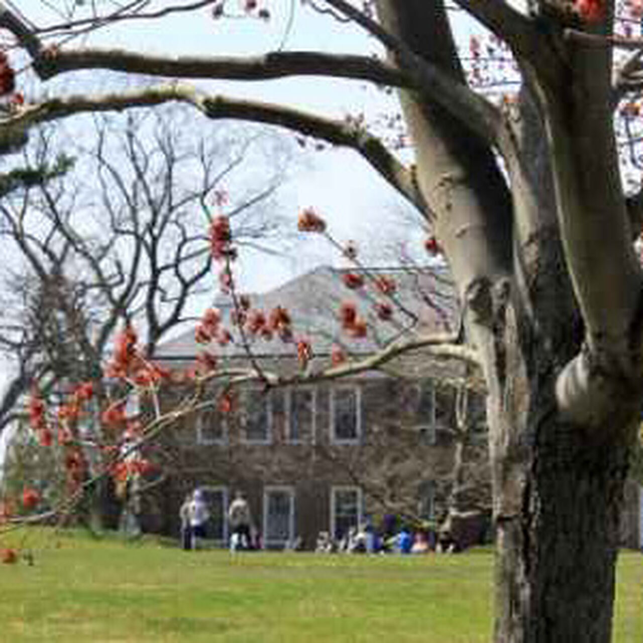 SAS Department of American Studies Support Fund  image number 0