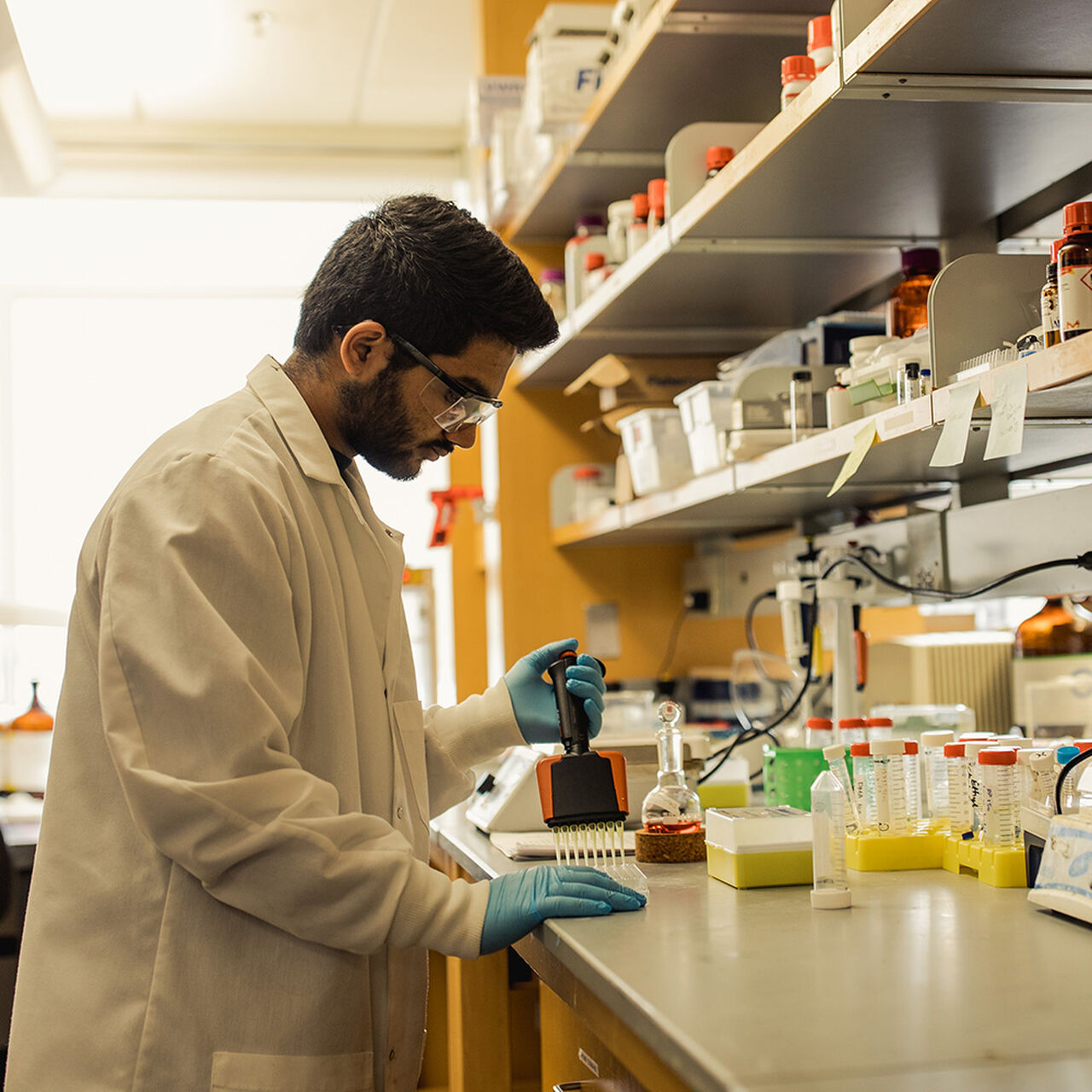 Student working in laboratory image number 0