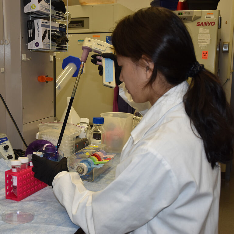 Environmental and Occupational Health Sciences Institute (EOHSI) Development Fund 