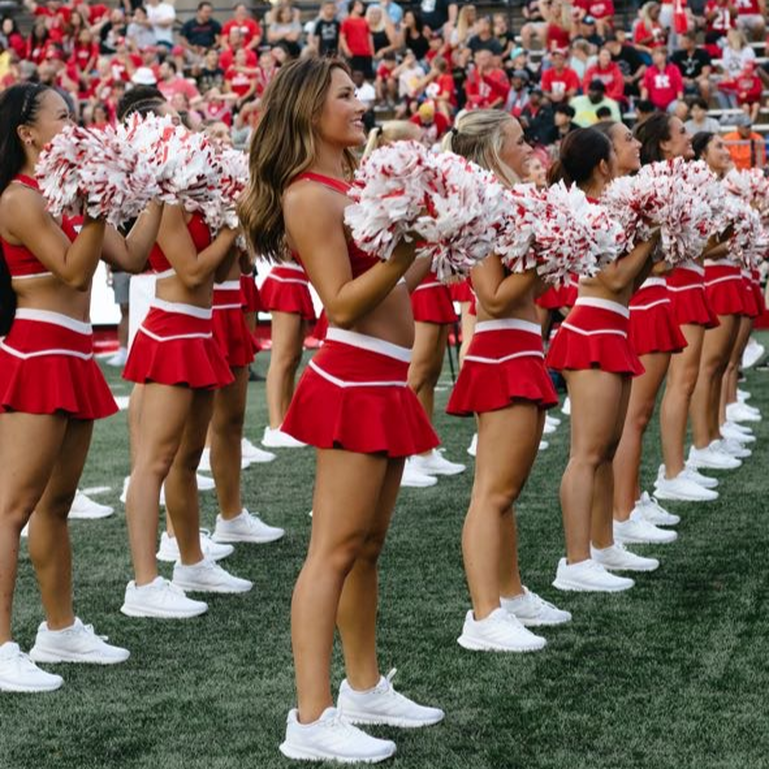 Spirit Program (Dance Team, Cheerleading, Sir Henry - Mascot) 