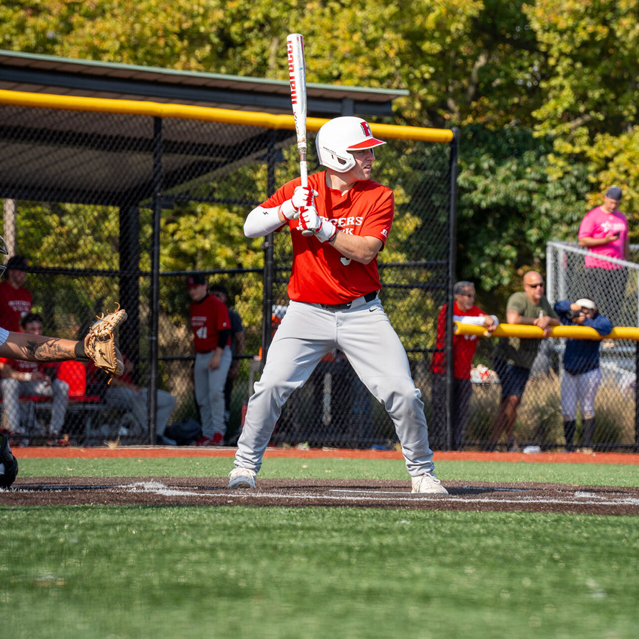 Rutgers University—Newark Baseball Support Fund  image number 1