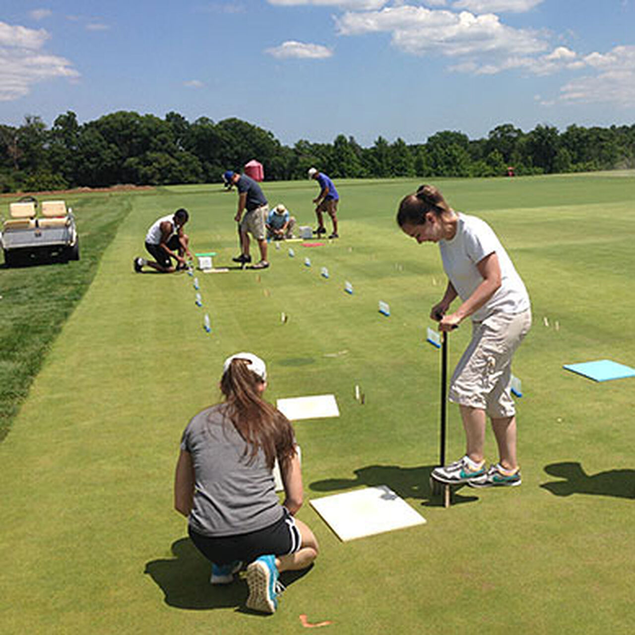 Henry W. Indyk Memorial Graduate Fellowship in Turfgrass Science  image number 0