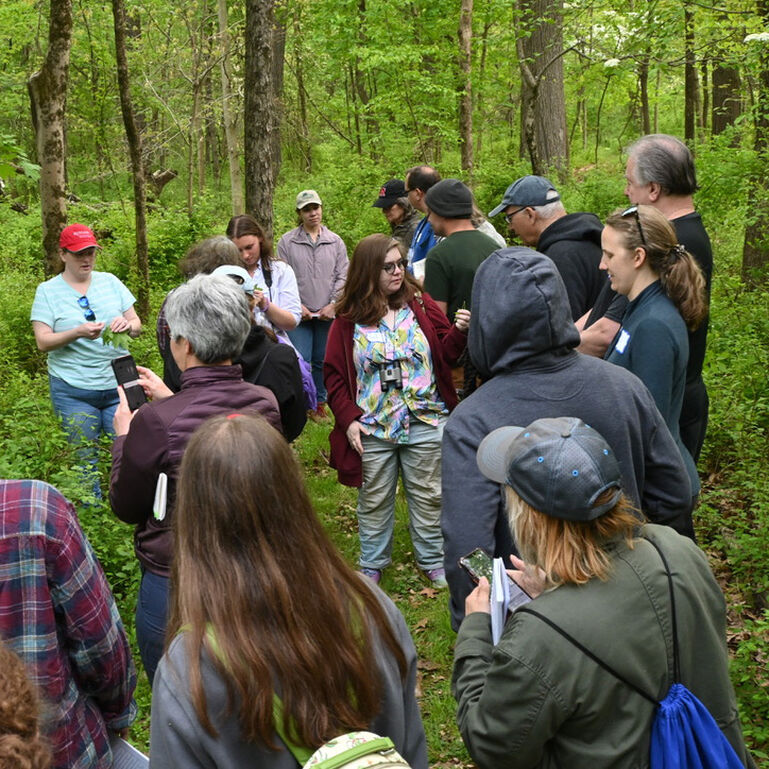 Environmental Stewards Enrichment Fund 