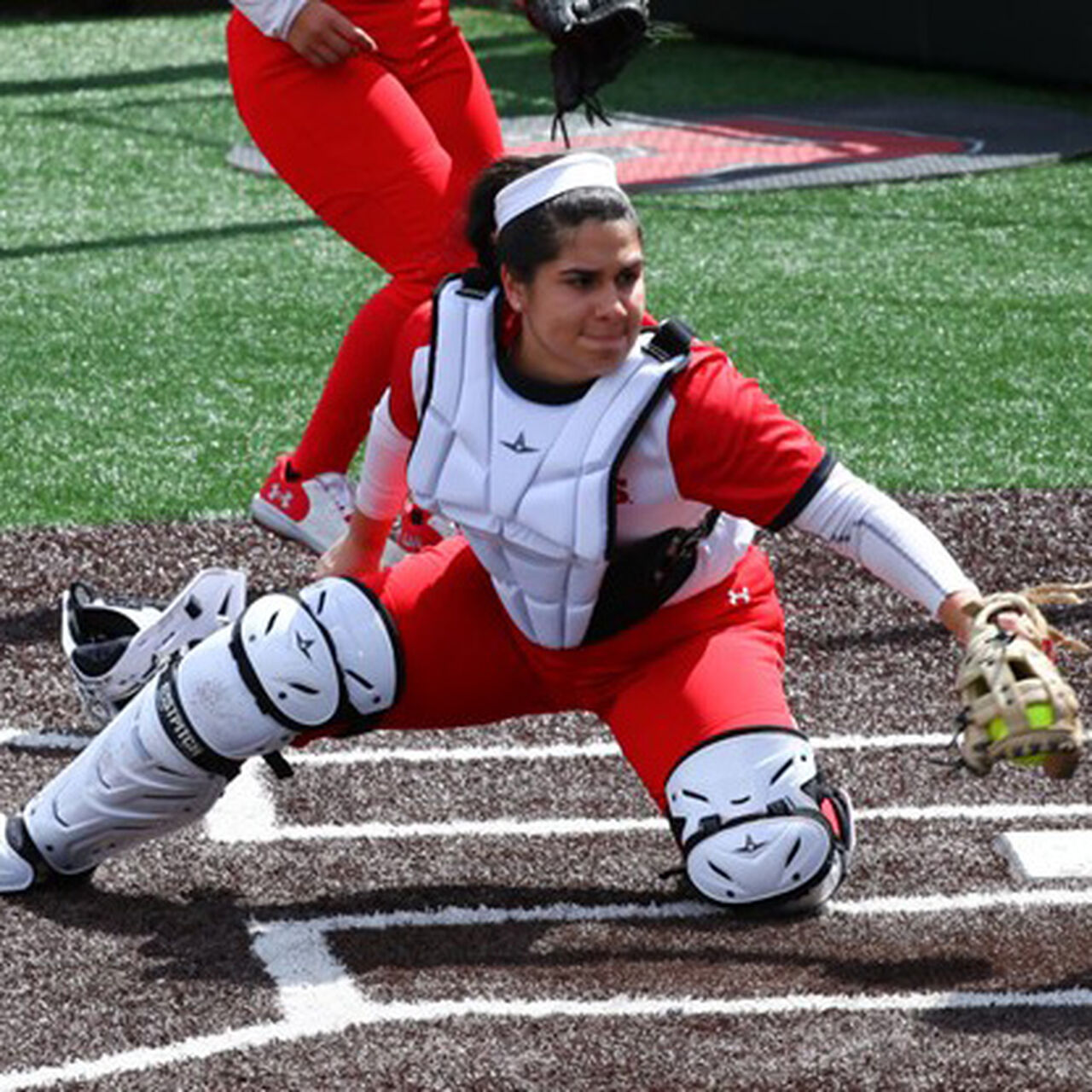 Rutgers University—Newark Softball Support Fund  image number 4