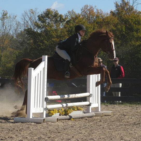 Rutgers Equestrian Team Support Fund  image number 3