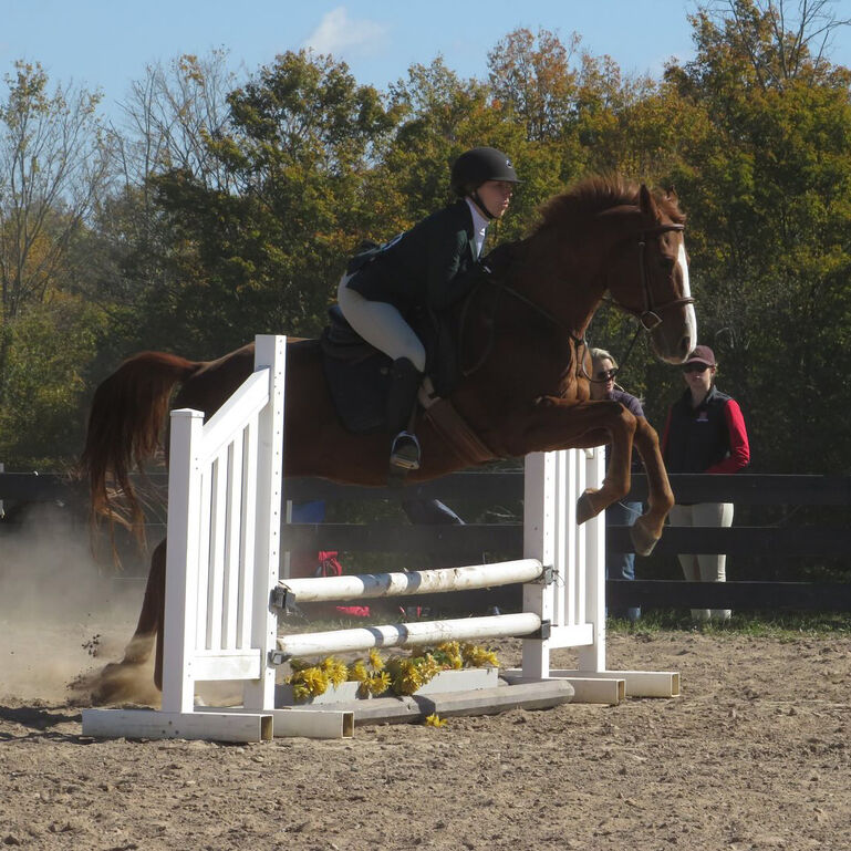 Rutgers Equestrian Team Support Fund 