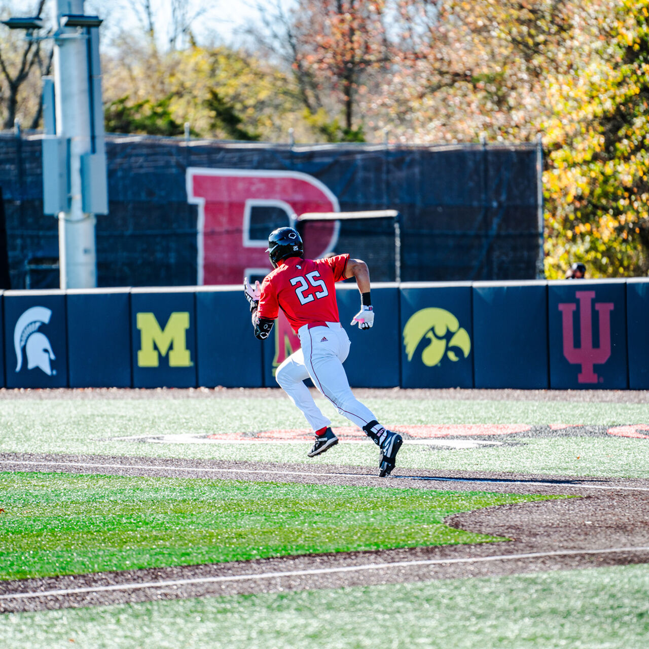 Baseball Alston Award Fund  image number 0