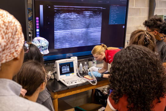 Equine Science Center Endowment  image number 0