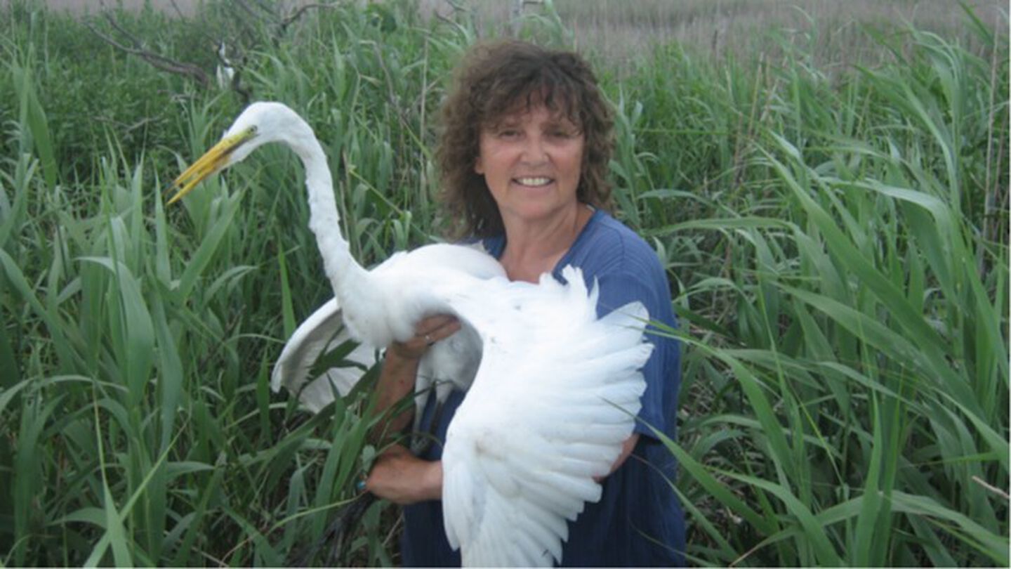 Joanna Burger Endowed Legacy Professorship